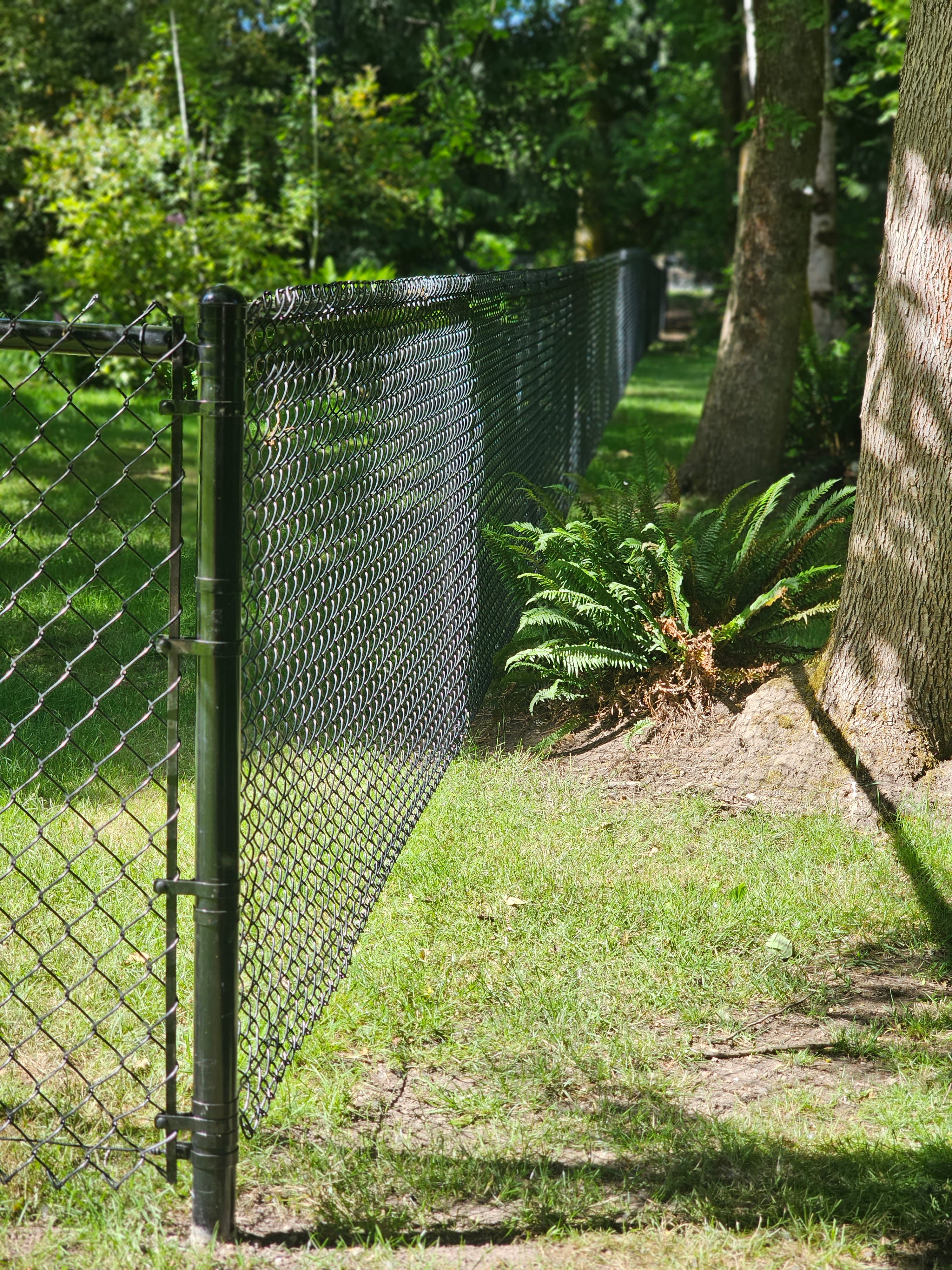 Chain link fence